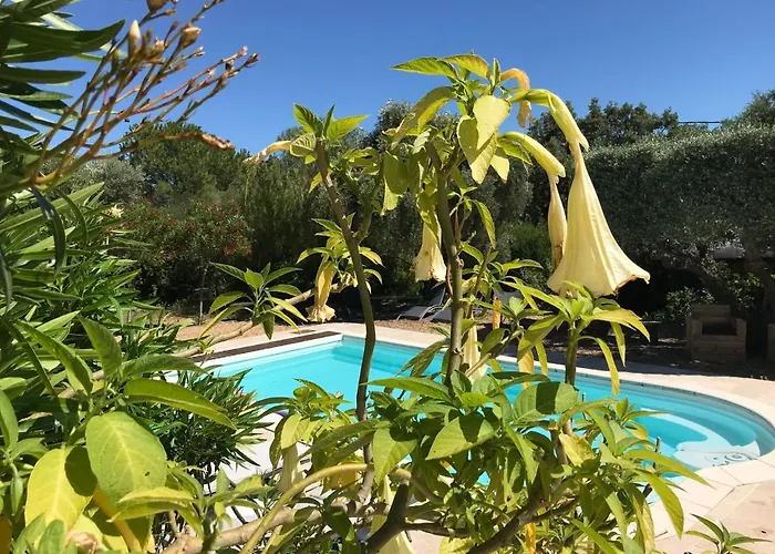 Les D'amis 3* Sanary-sur-Mer