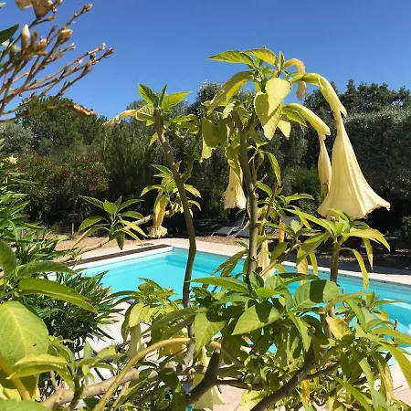 Les D'amis * Sanary-sur-Mer